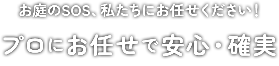 お庭のSOS、私たちにお任せください! プロにお任せで安心・確実
